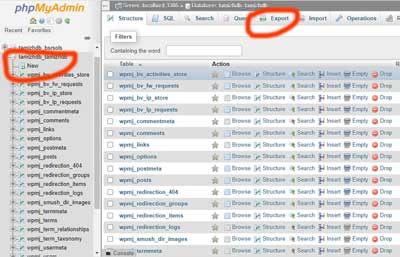 Exporting database from phpMyAdmin on live server
