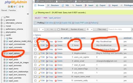 Replacing live server URL to localhost URL