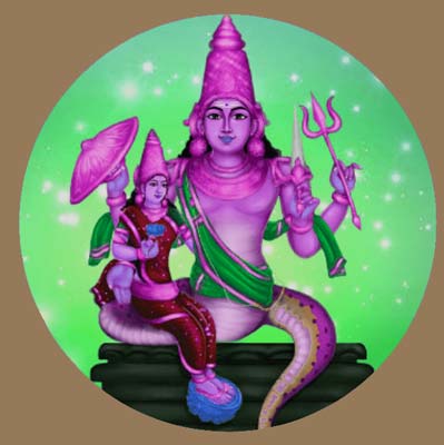 Rahu Mahadasha Prediction